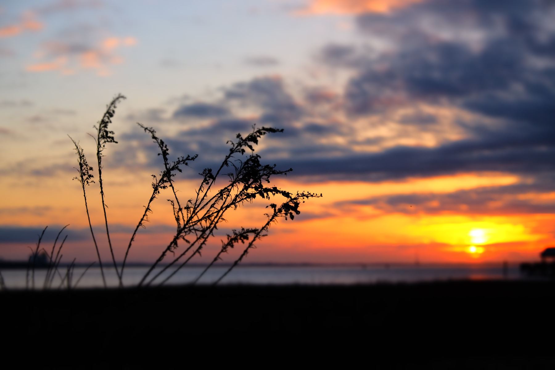 Kiawah Island