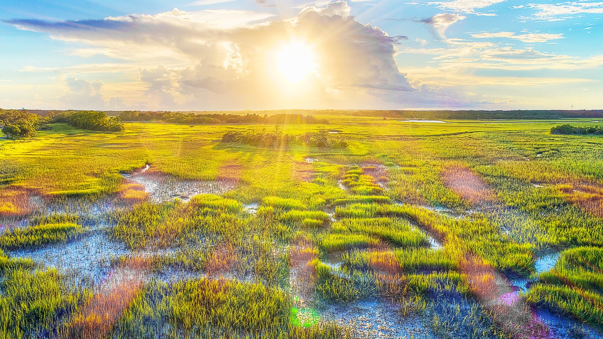 View from Kiawah Island Marsh Watch Tower