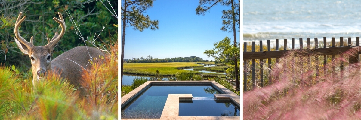 Enjoy gorgeous autumn weather on Kiawah Island during the fall season