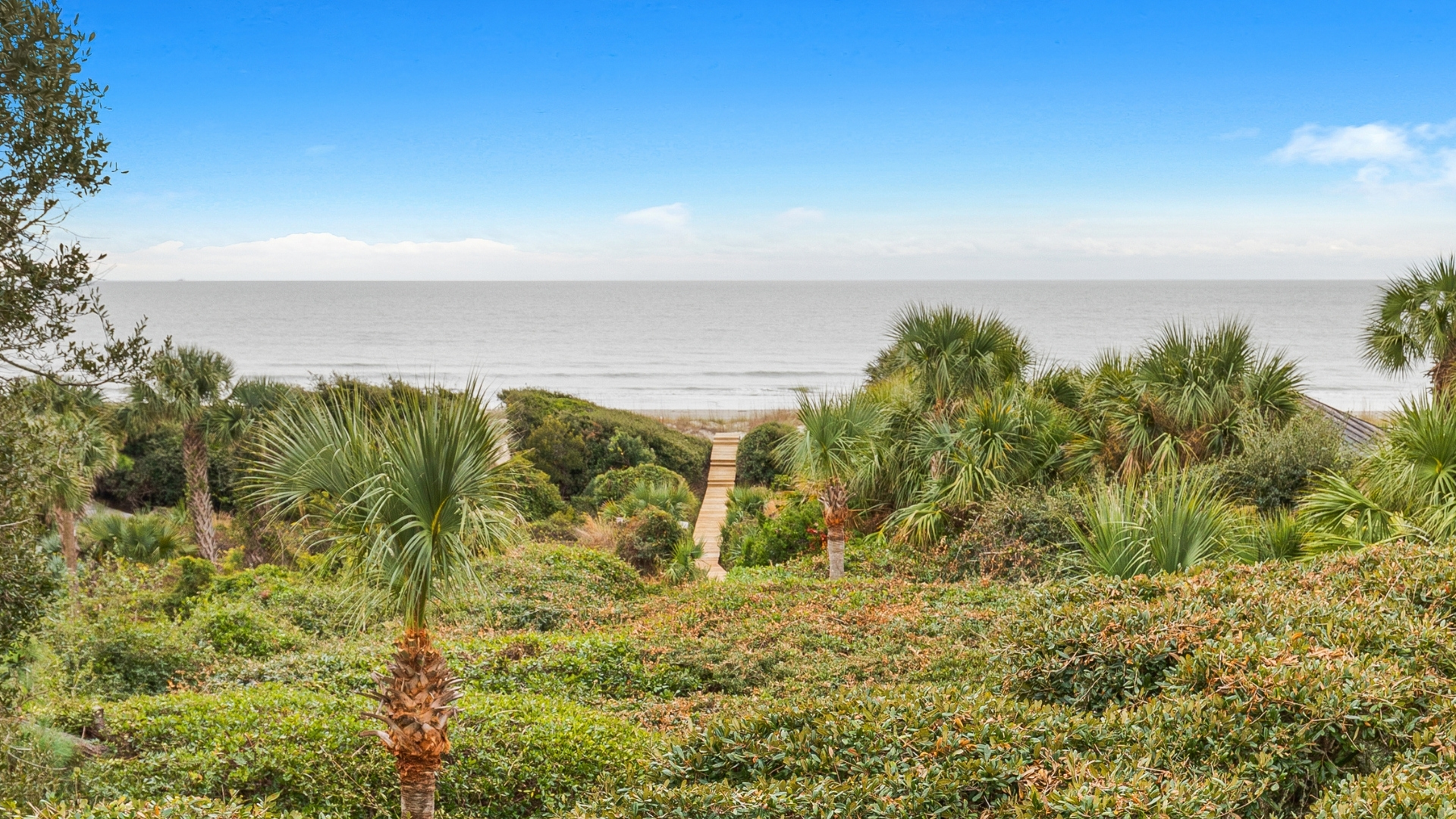 Summer Activities on Kiawah Island to Enjoy