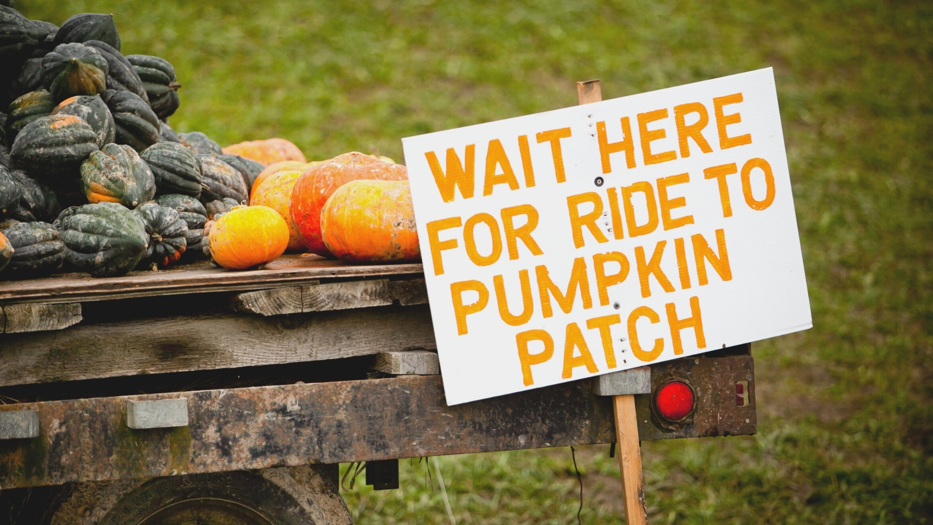 Kiawah Island Fall Activity - Pumpkin Patch Ride