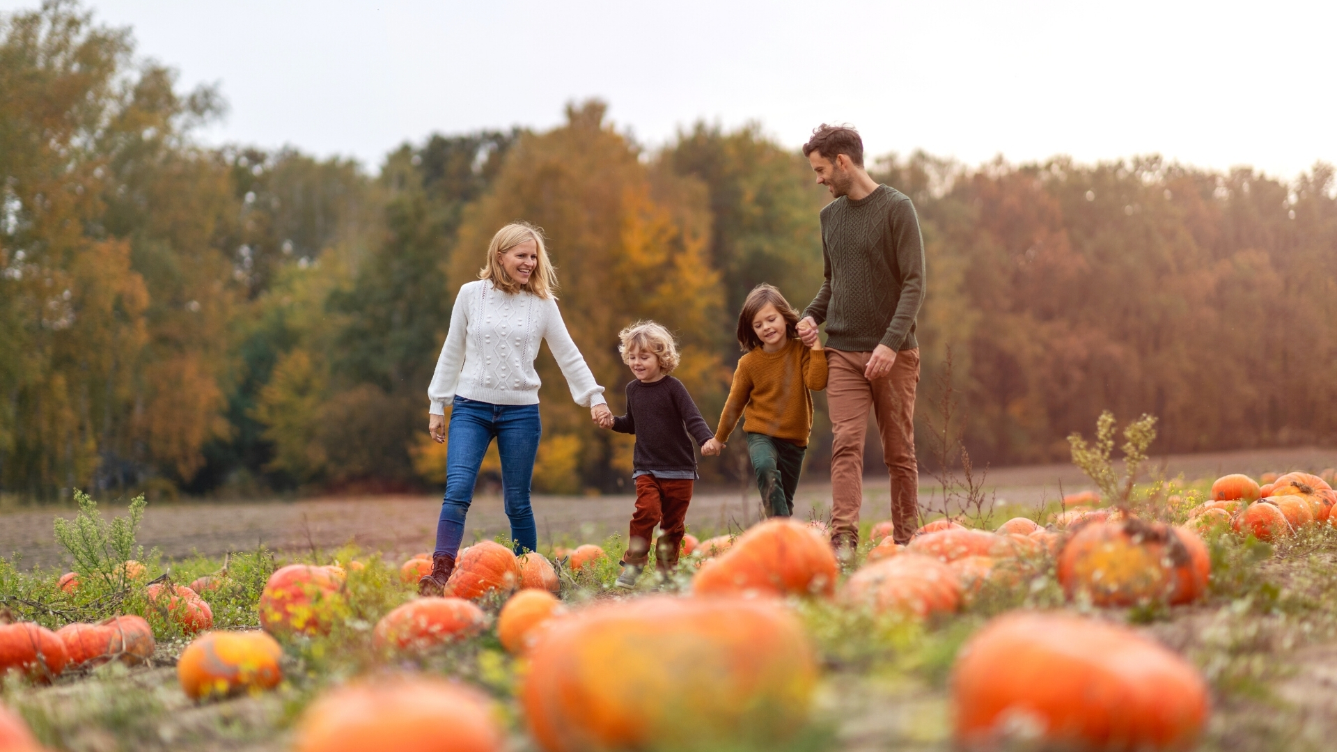 Local Pumpkin Patch Near Kiawah Island