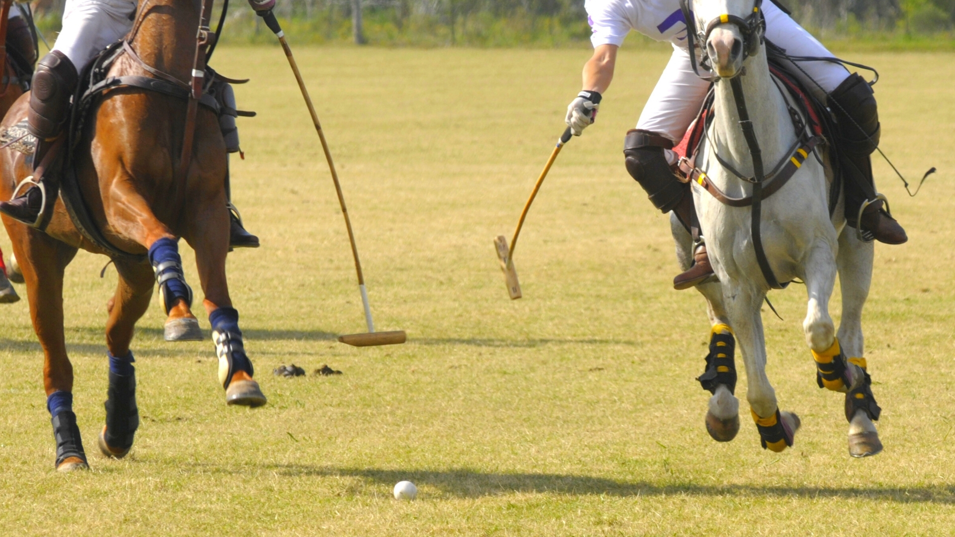 Annual Charleston Victory Cup Polo Match