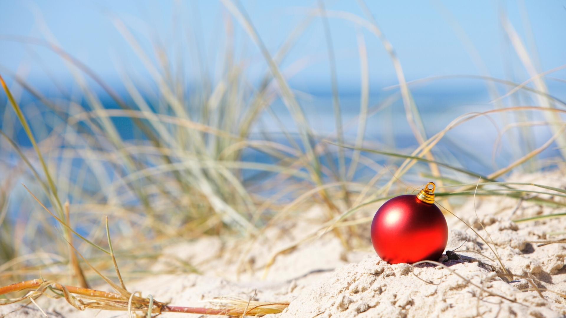 Kiawah Island Christmas: Holiday Events & Dining Options [2022]