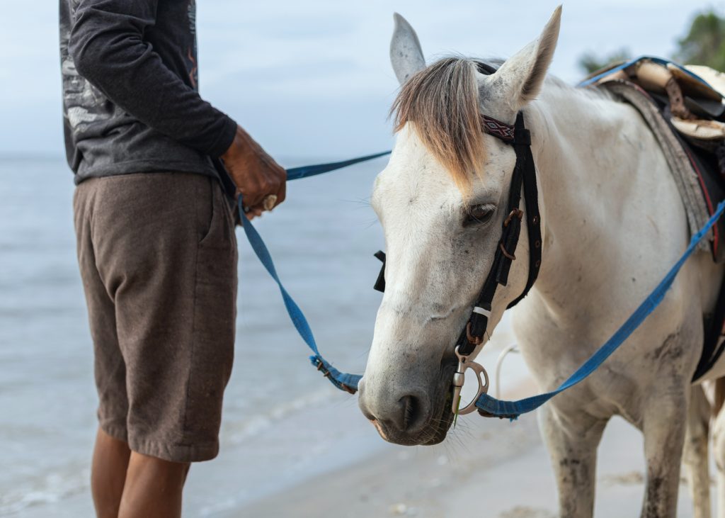 Horseback Riding on Seabrook